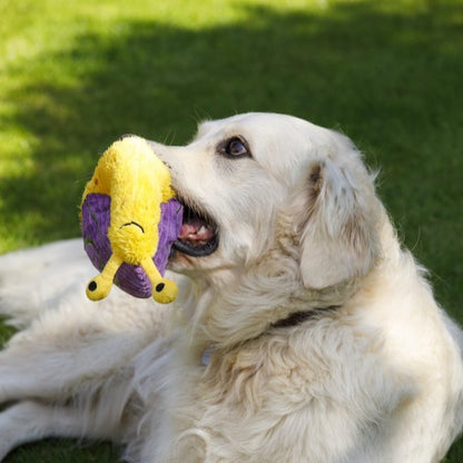 Sassy the Snail Dog Toy