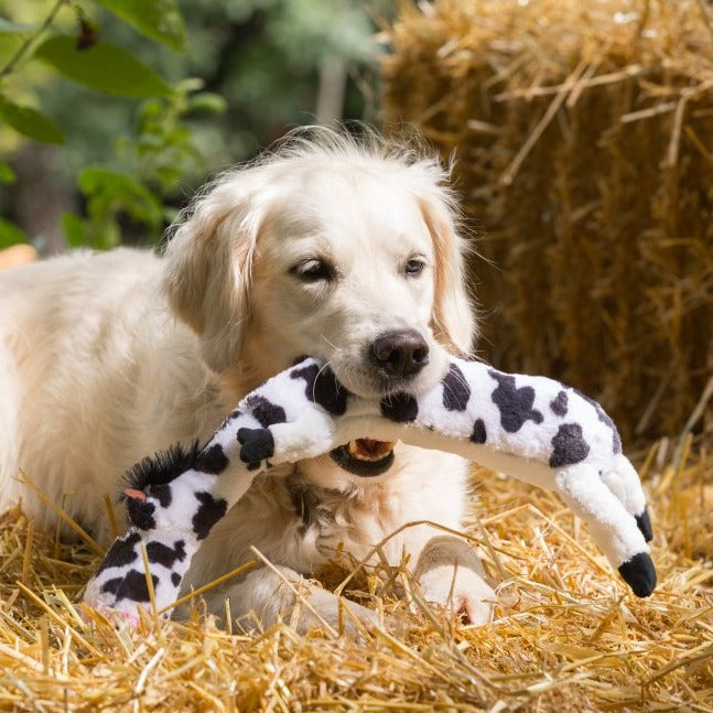 Lazy Moo Plush Dog Toy