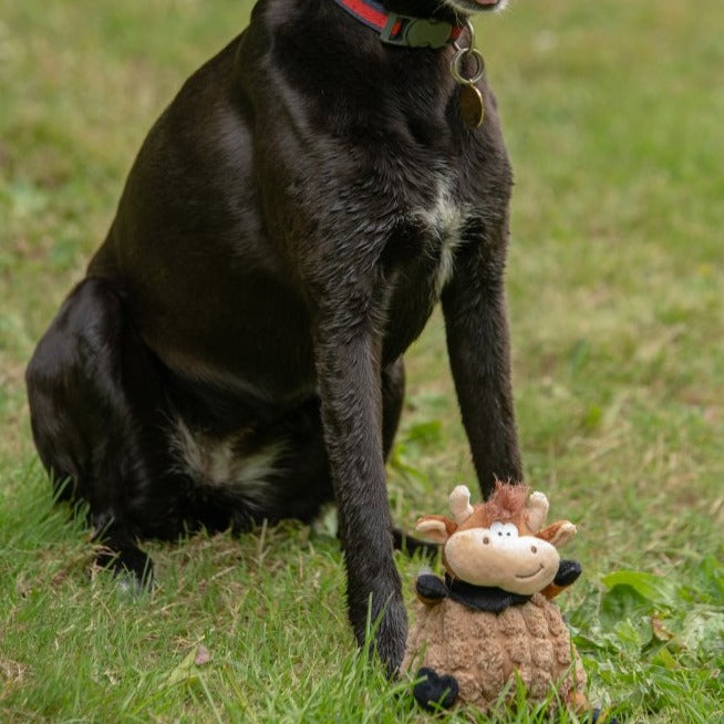 Chunky Cow Plush Dog Toy