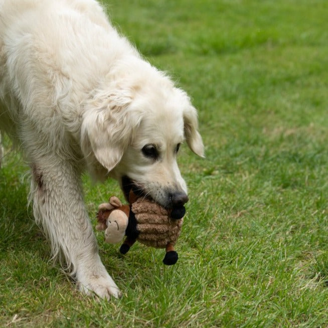 Chunky Cow Plush Dog Toy