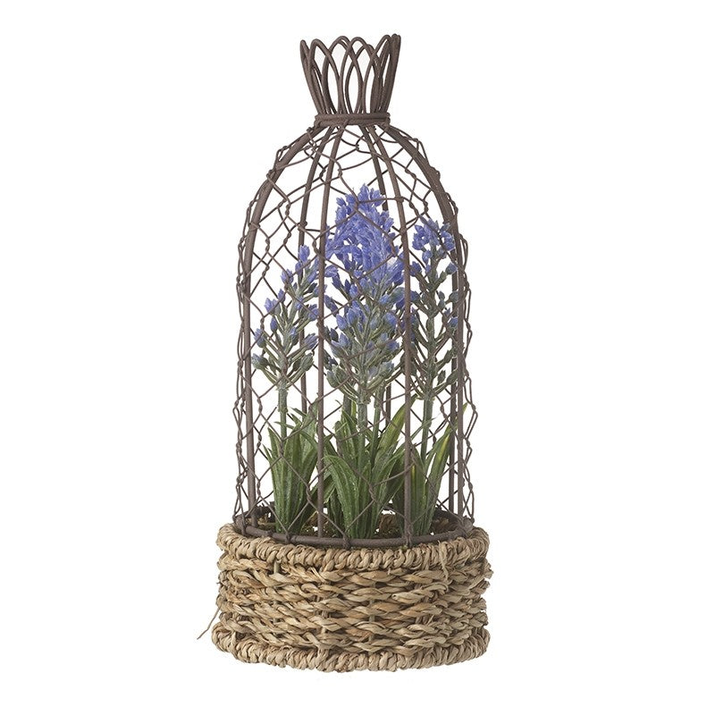 Lavender in Basket with Wire Birdcage