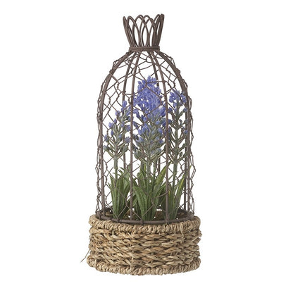 Lavender in Basket with Wire Birdcage