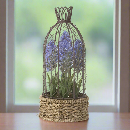 Lavender in Basket with Wire Birdcage