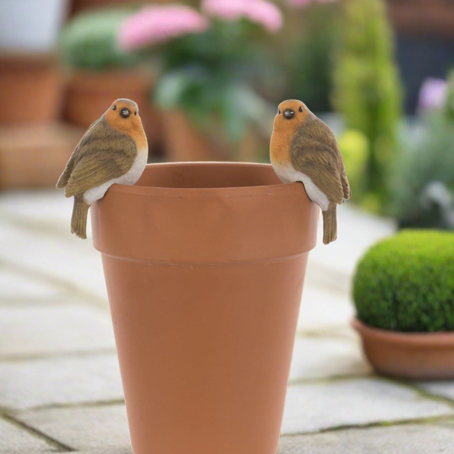 Set of 2 Robin Pot Hangers