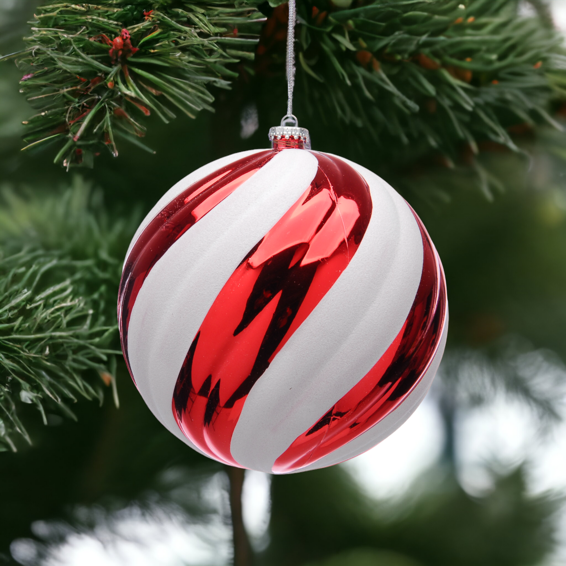 Red shiny and white glitter striped bauble with a silver wire hanging from a green Christmas tree branch 