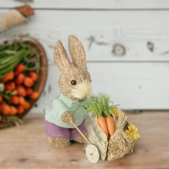 Rabbit Pushing Carrots in Wheelbarrow