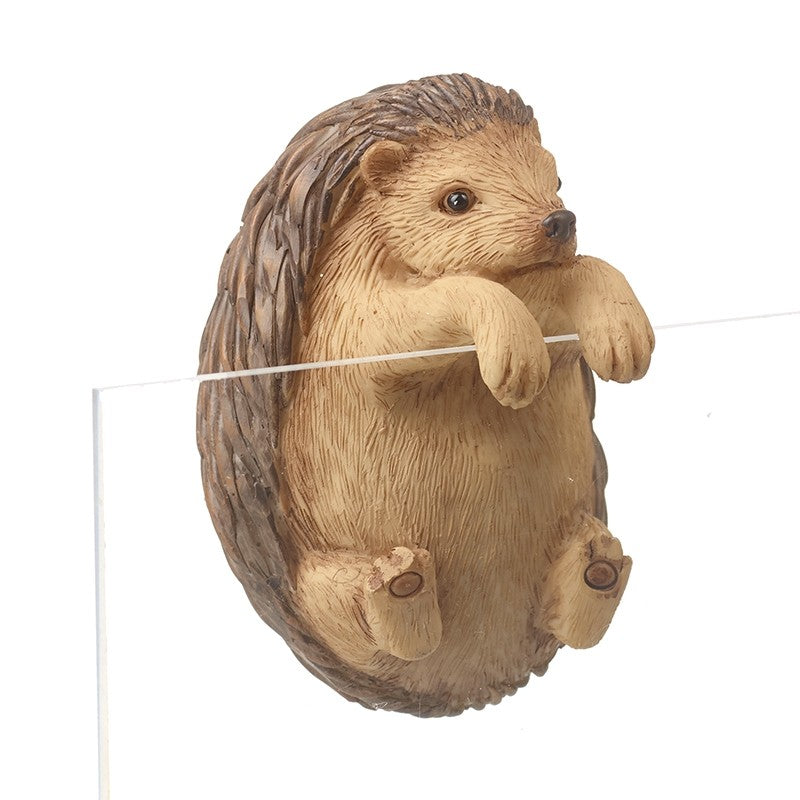 Hedgehog Pot Hanger