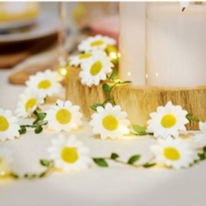 Premier 15 LED Lit Daisy Garland