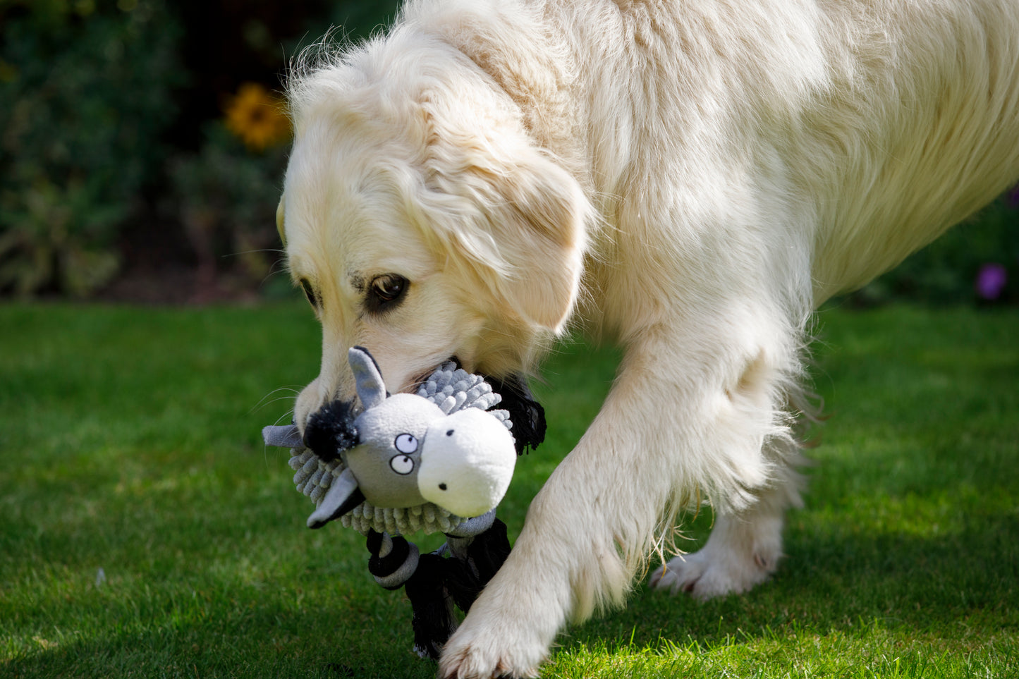 Noodle Donkey Dog Toy