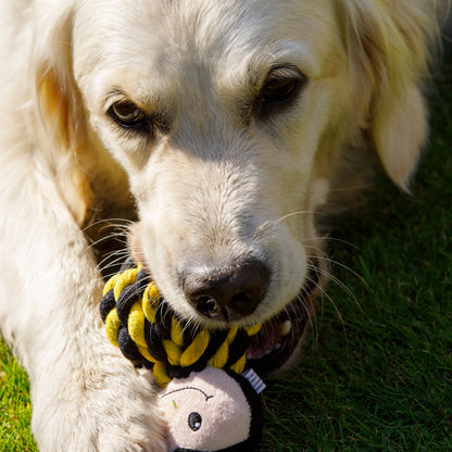 Bert Rope Ball Dog Toy