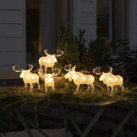 Acrylic Lit Christmas Moose LED Light Set