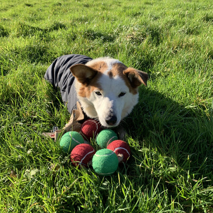 Tennis Ball Christmas Wreath Dog Toy