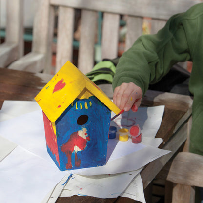 DIY Bird Nesting Box with Paint