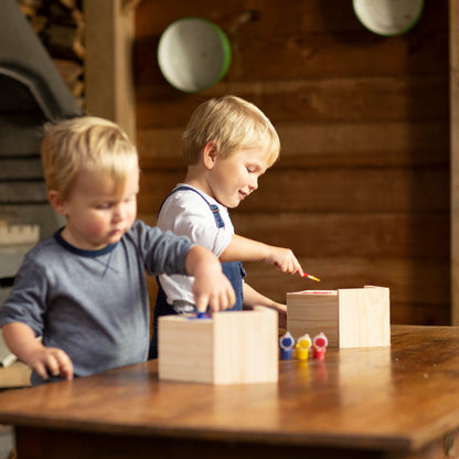 DIY Bird Nesting Box with Paint