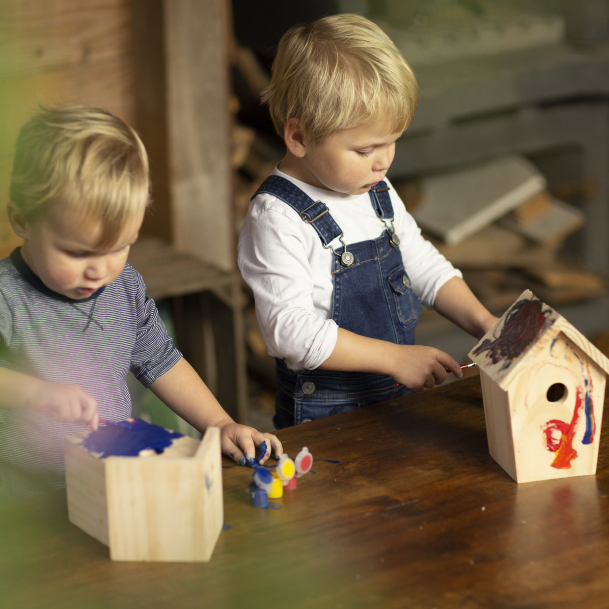 DIY Bird Nesting Box with Paint