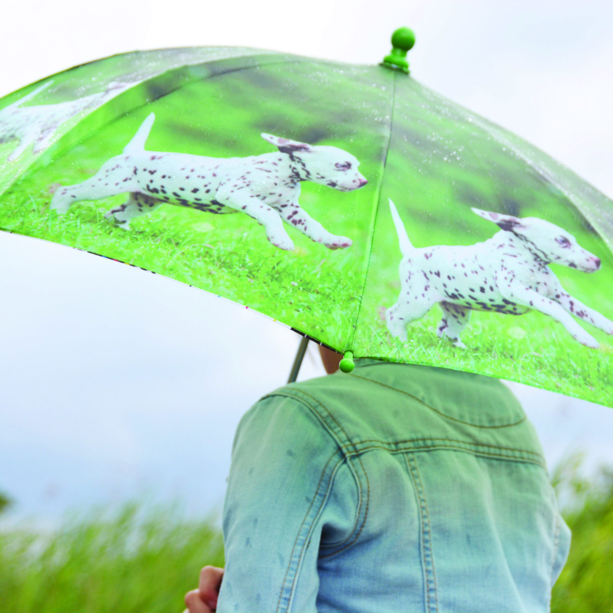 Children's Dalmatian Puppy Umbrella