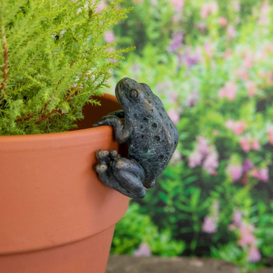 Frog Pot Hanger