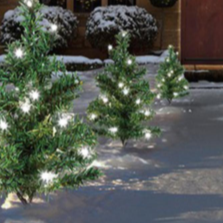 Set of 6 Christmas Tree Path Lights White