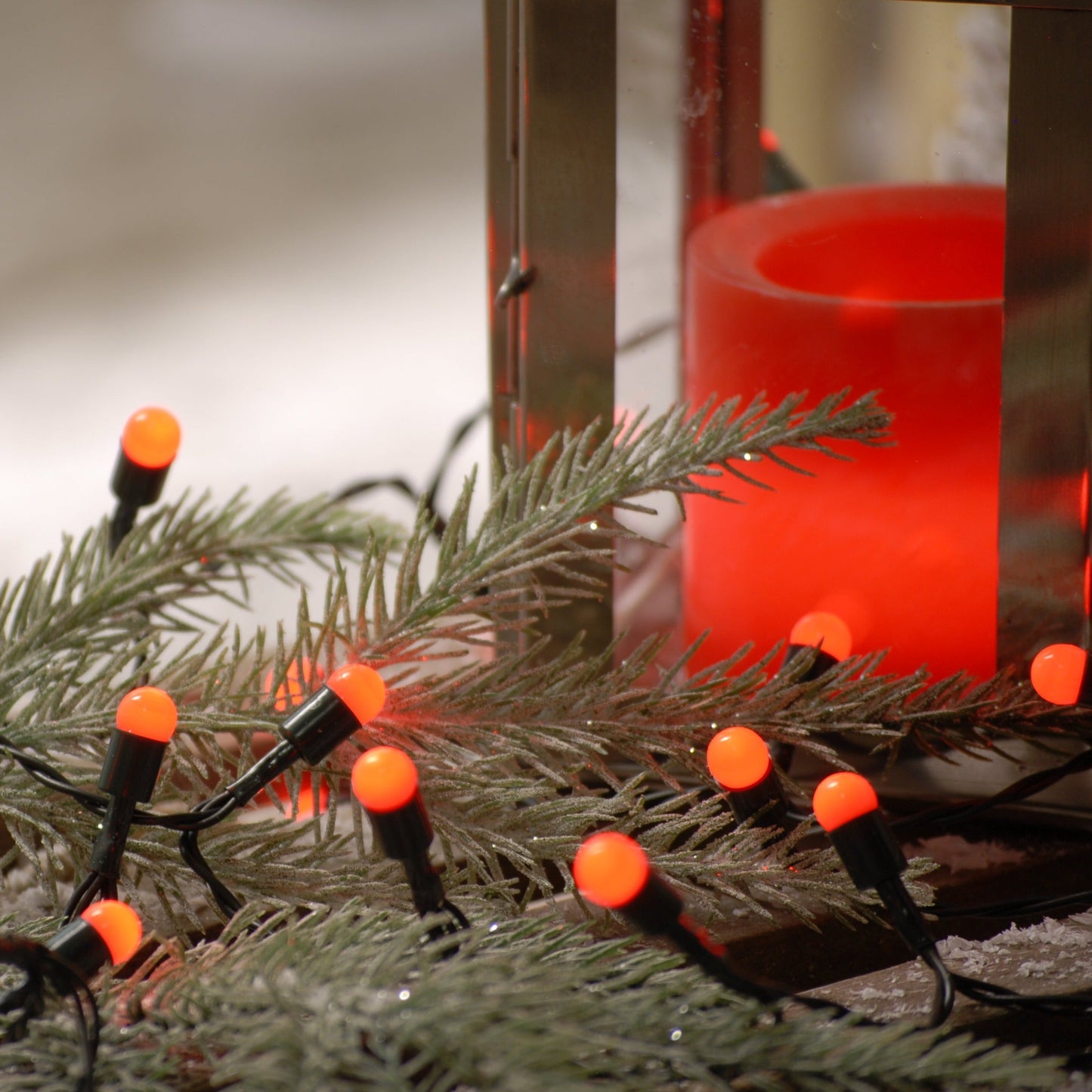 Festive 50 Red Berry Battery Operated String Lights