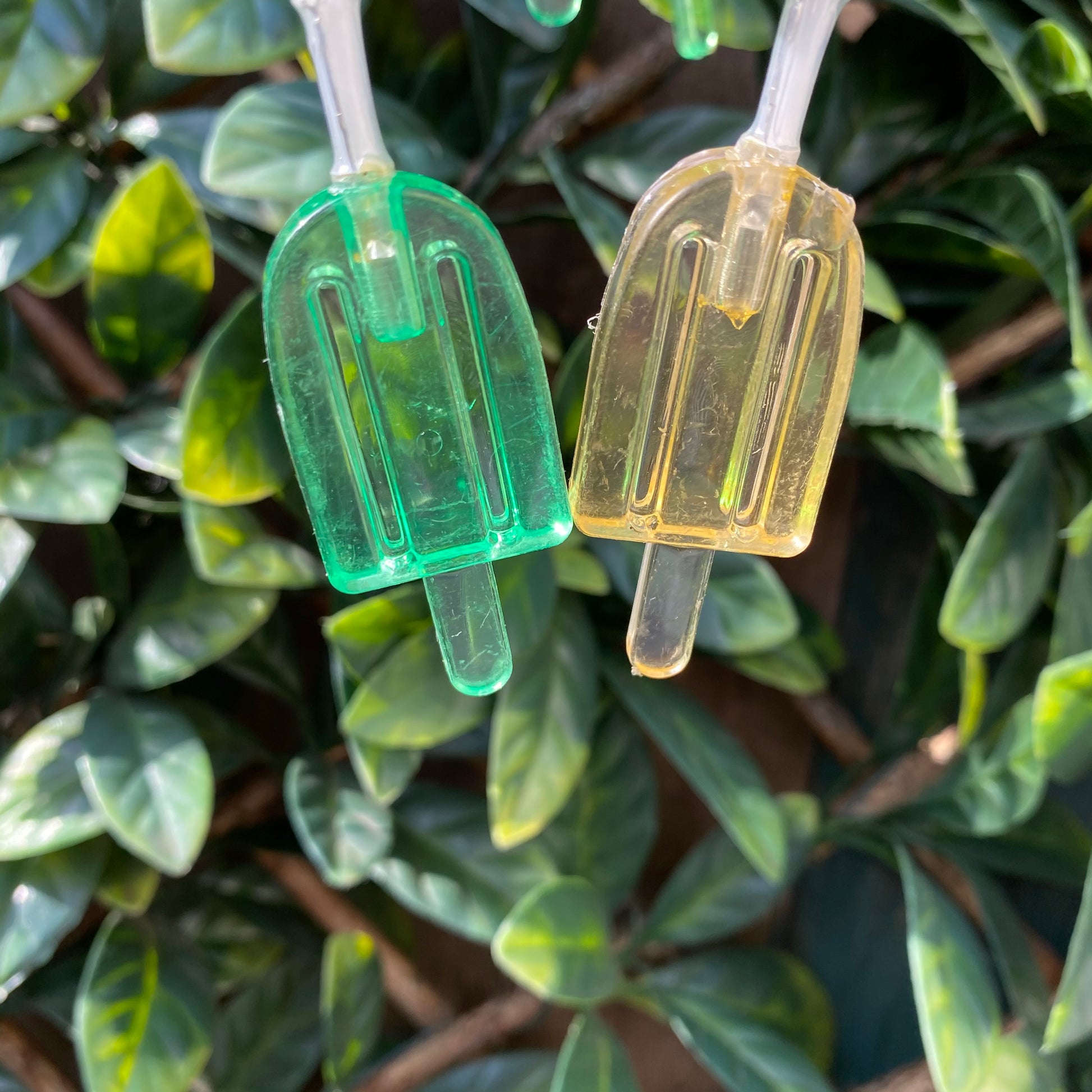 yellow and green ice lolly lights on a clear cable , one of each colour on a leaf trellis background