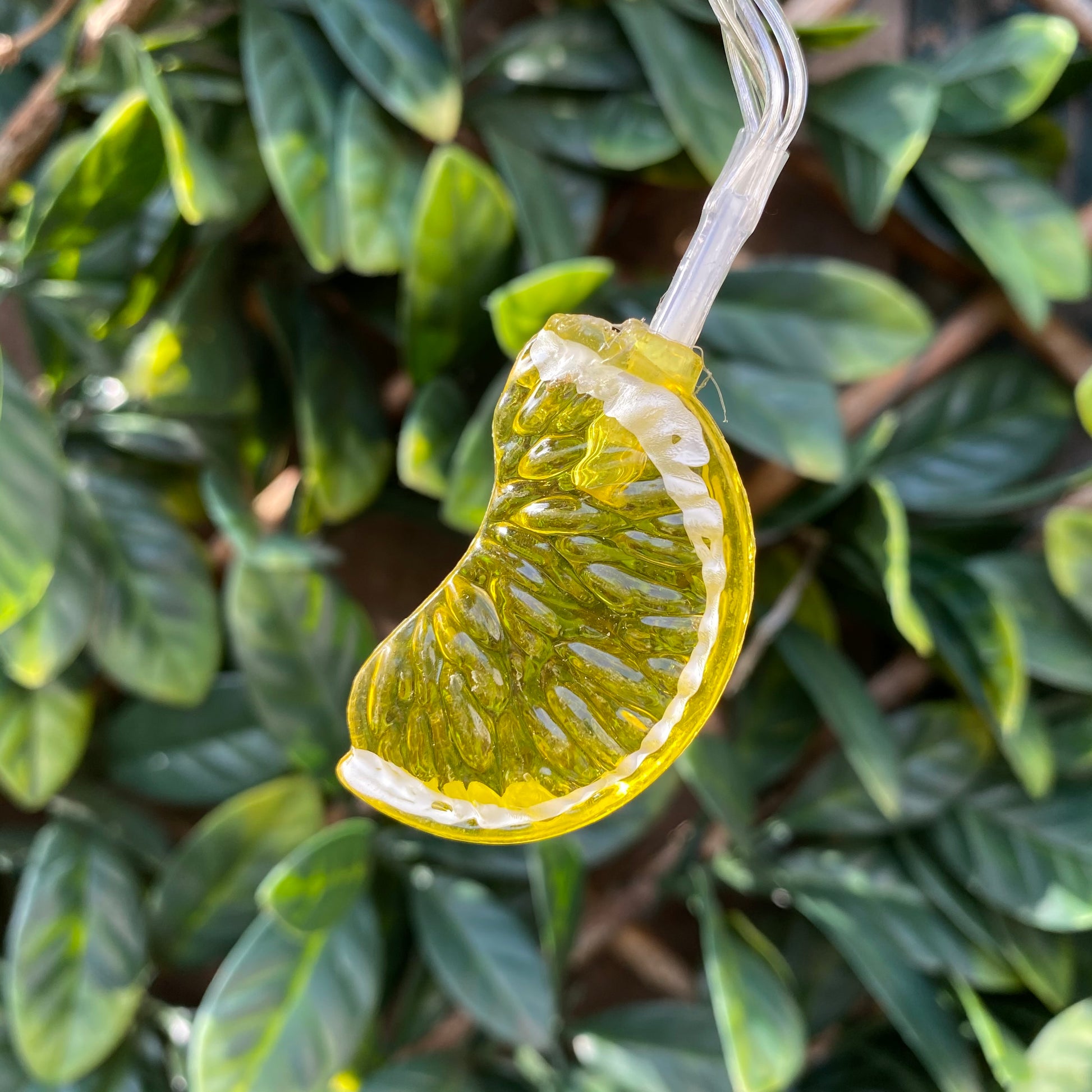 image of 1 lemon from the light set to show it in detail, with a green leaf trellis background