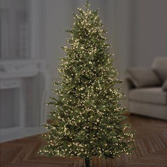 Premier TreeBrights 1000 Warm White LED Christmas String Lights