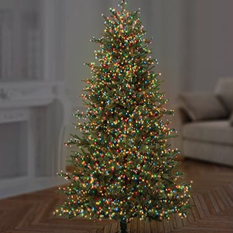 Premier TreeBrights 1000 Multi Coloured LED Christmas String Lights